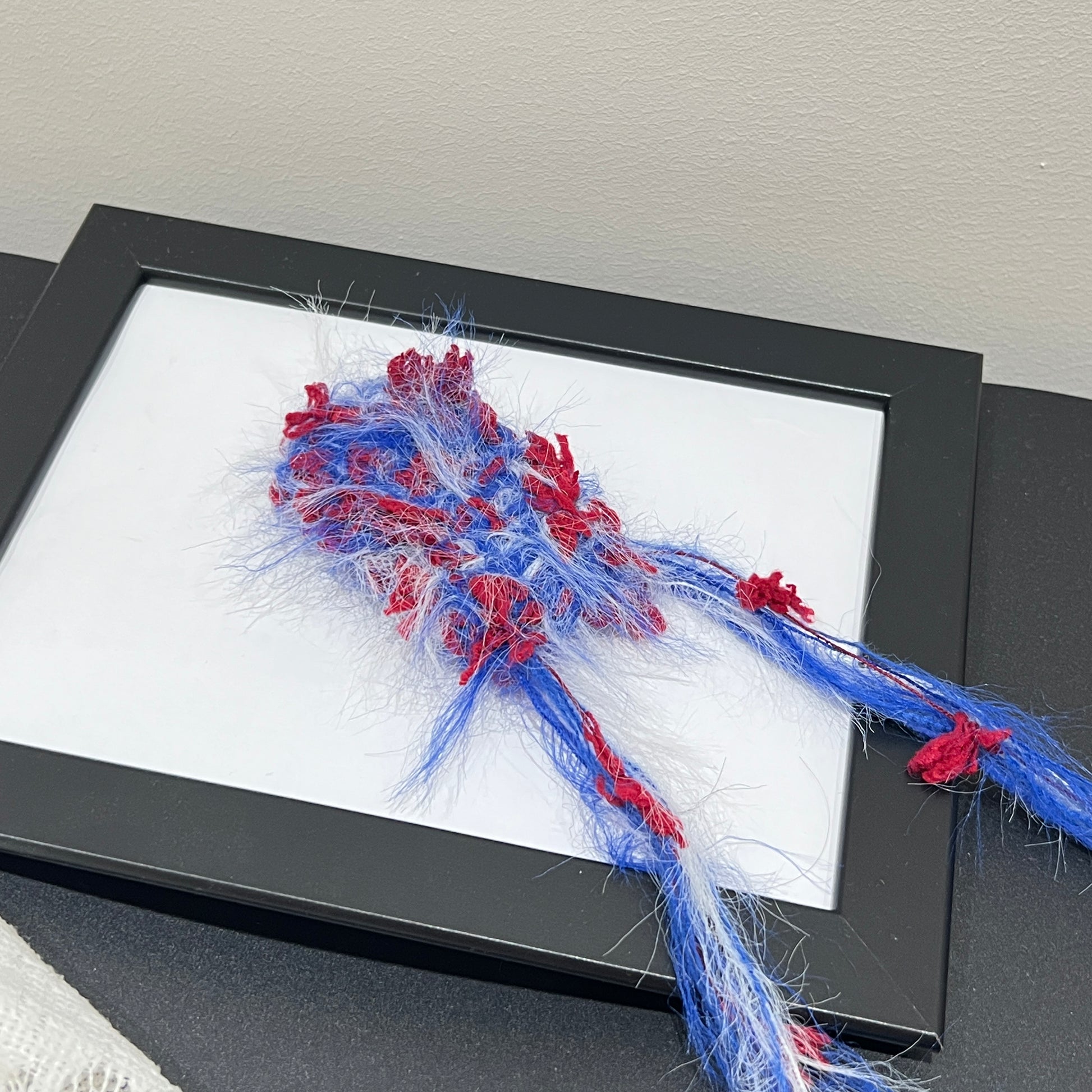 Close-up macro shot tri-color fiber swatch mounted inside thin black photo frame, long fuzzy feather yarn and vivid red petal ribbon decorative details